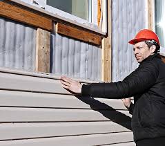 Best Historical Building Siding Restoration  in Central City, IL